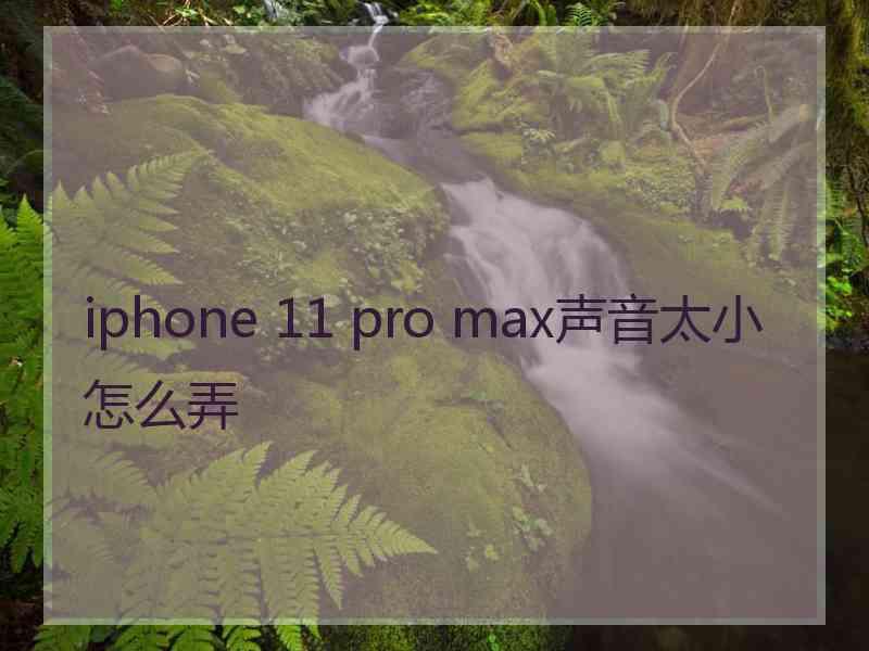 iphone 11 pro max声音太小怎么弄