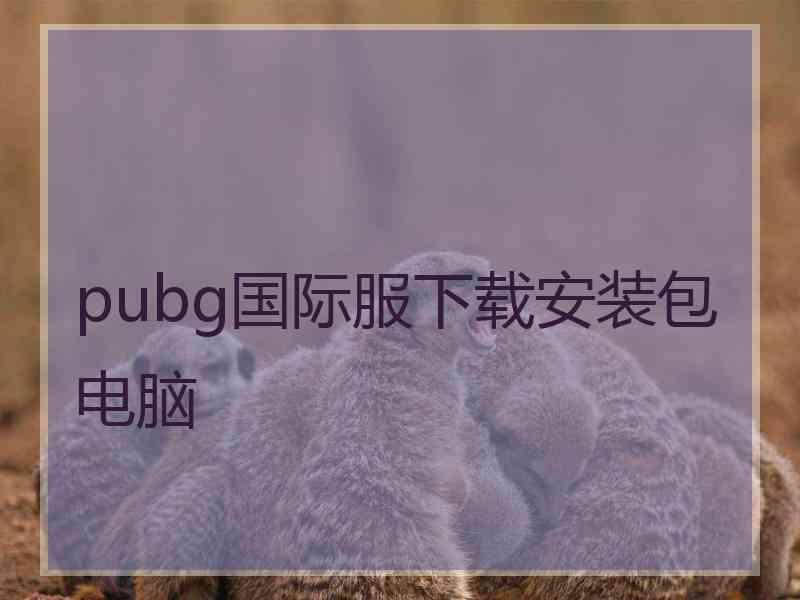 pubg国际服下载安装包电脑