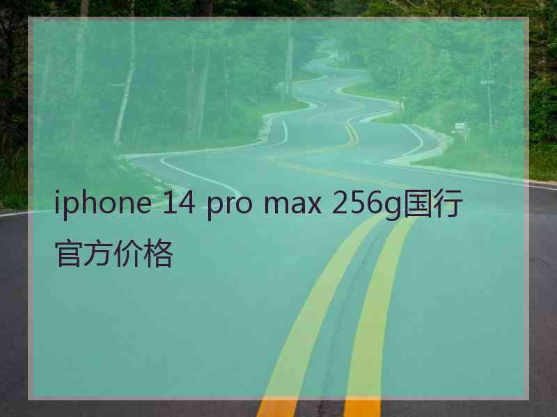 iphone 14 pro max 256g国行官方价格