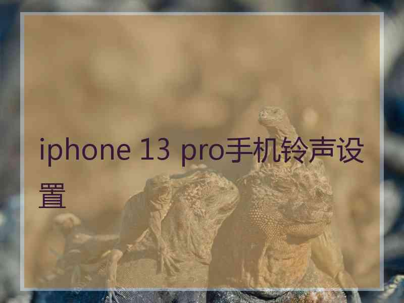 iphone 13 pro手机铃声设置