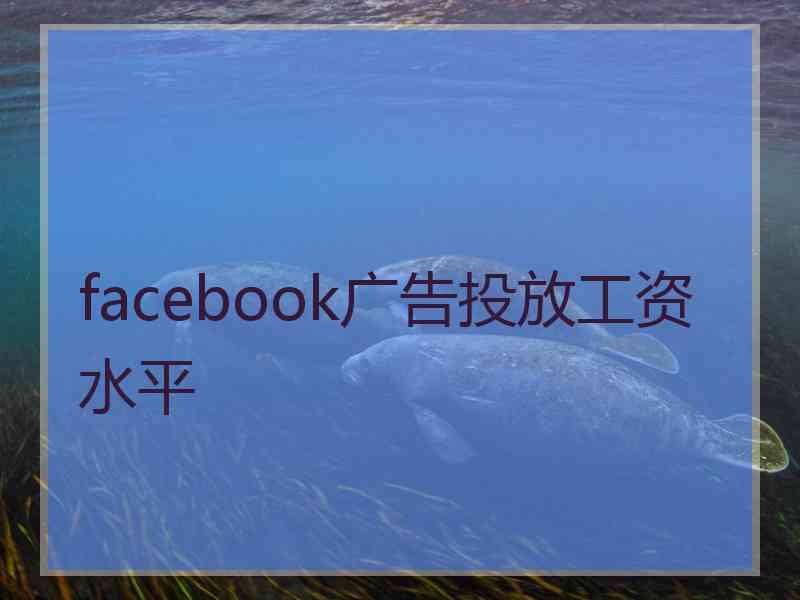 facebook广告投放工资水平