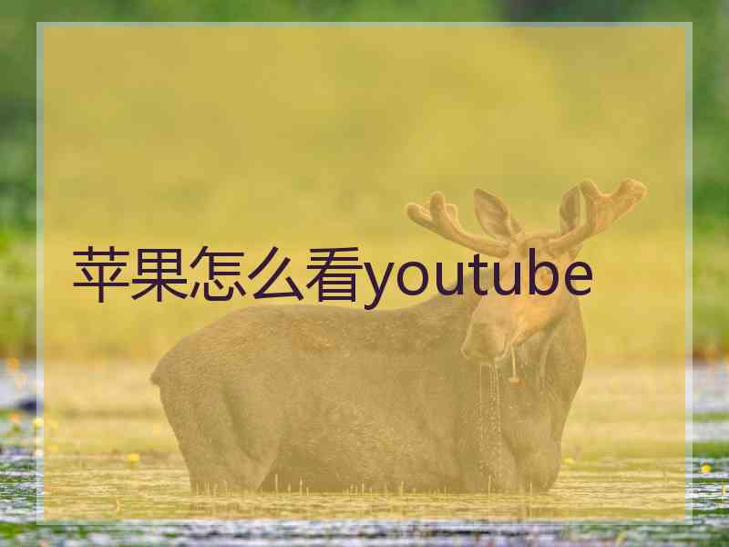 苹果怎么看youtube