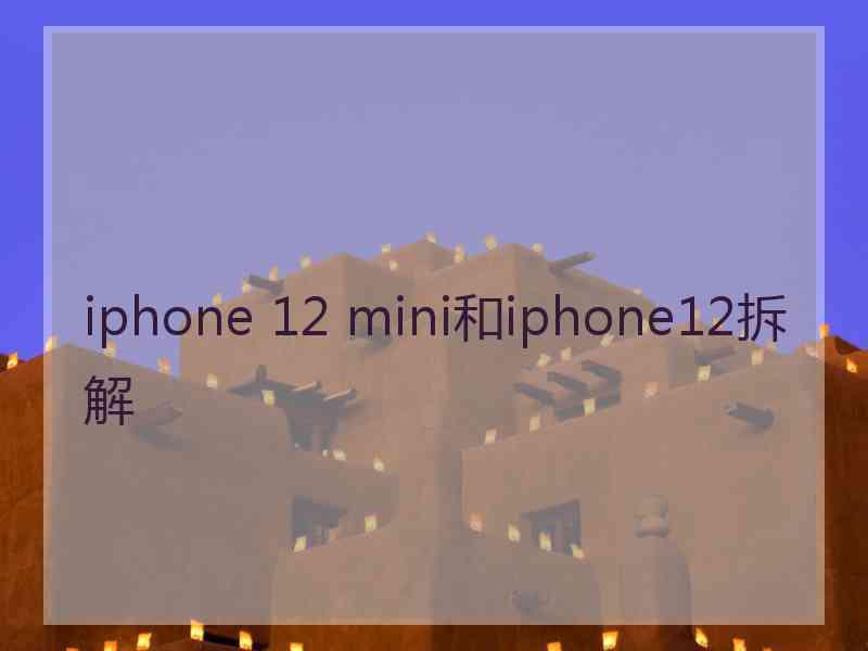 iphone 12 mini和iphone12拆解