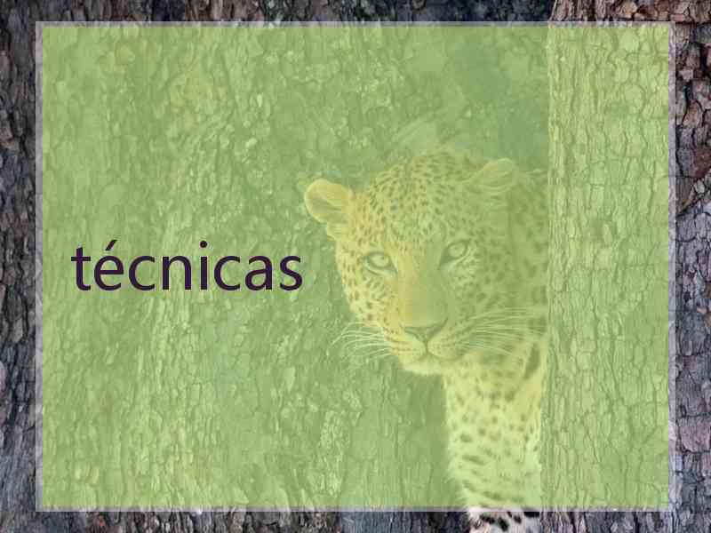 técnicas