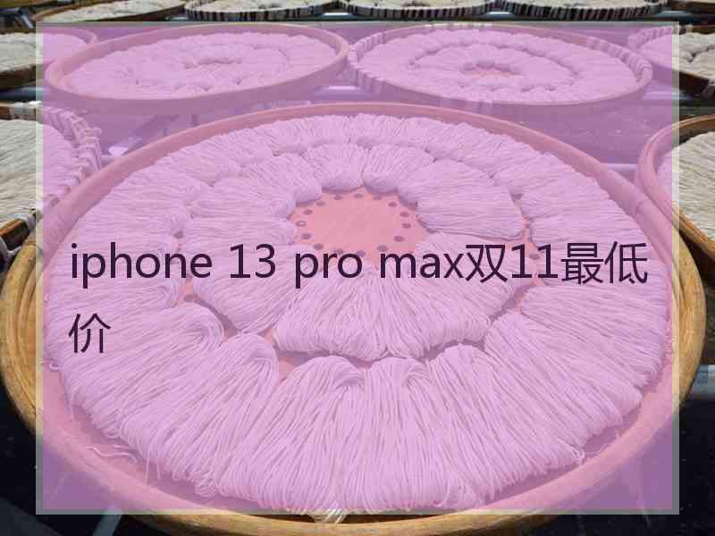 iphone 13 pro max双11最低价