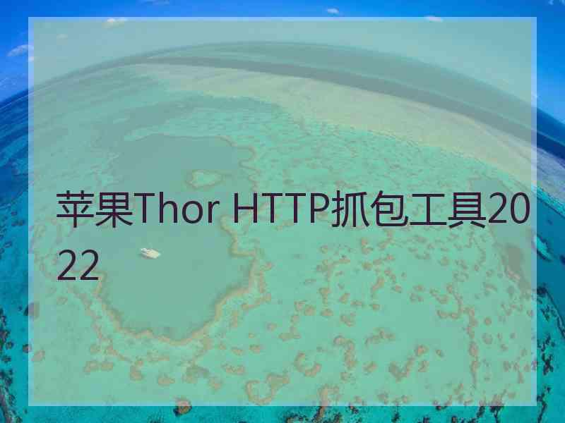 苹果Thor HTTP抓包工具2022