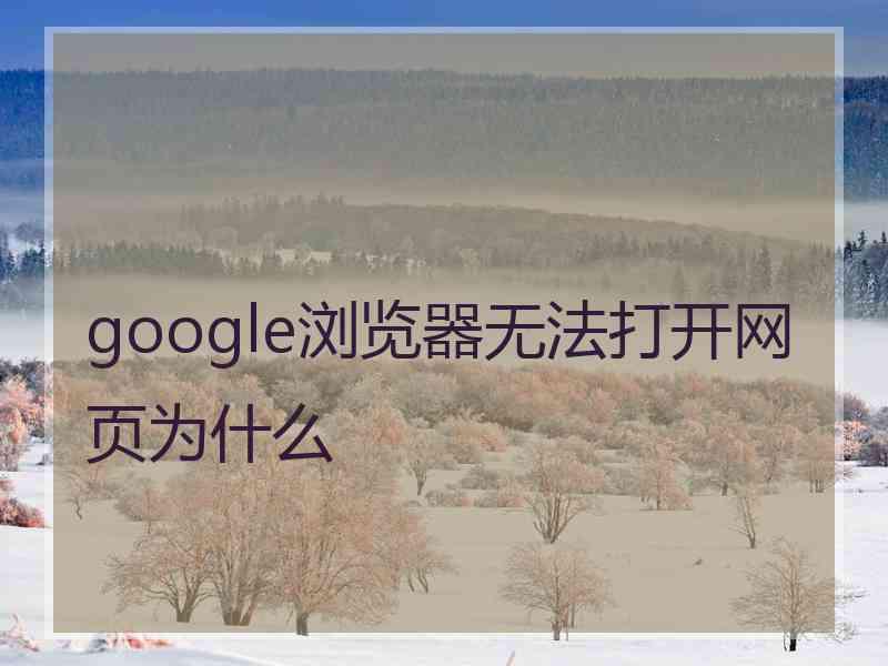 google浏览器无法打开网页为什么