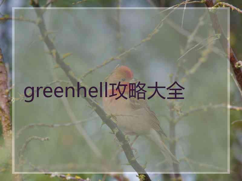 greenhell攻略大全