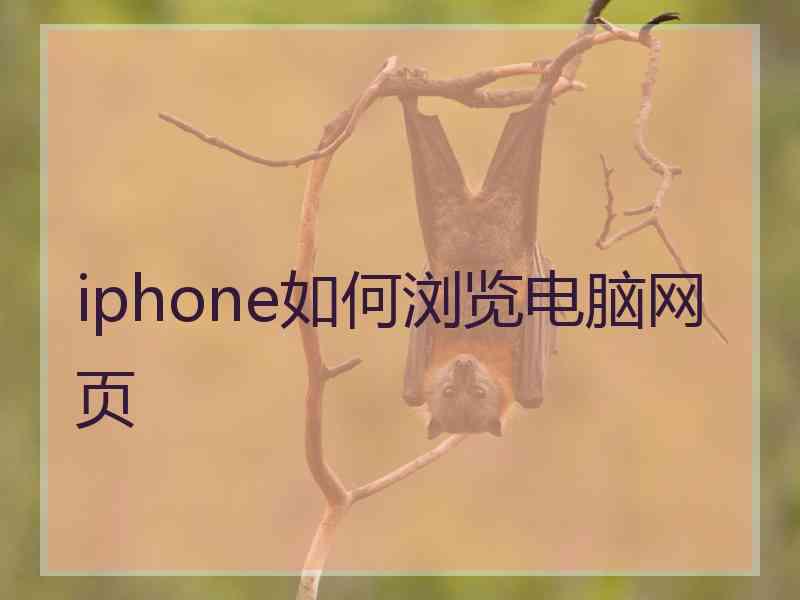 iphone如何浏览电脑网页