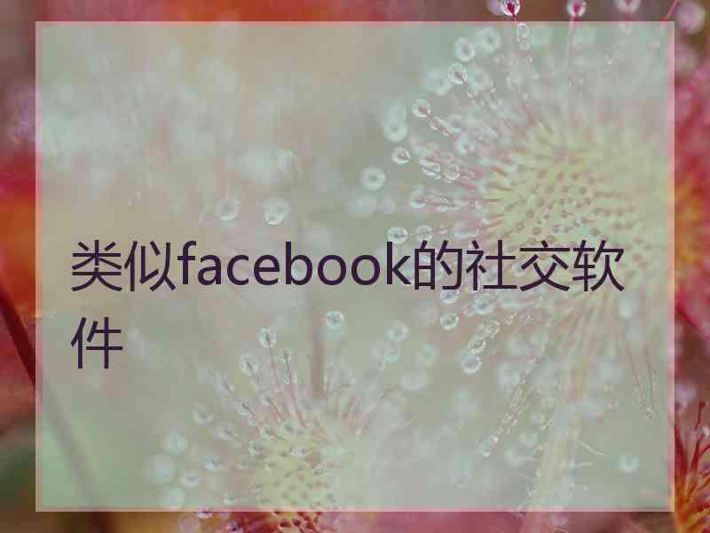 类似facebook的社交软件