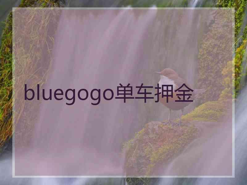 bluegogo单车押金