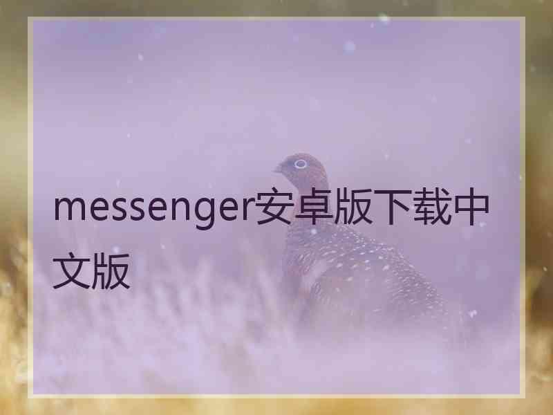 messenger安卓版下载中文版