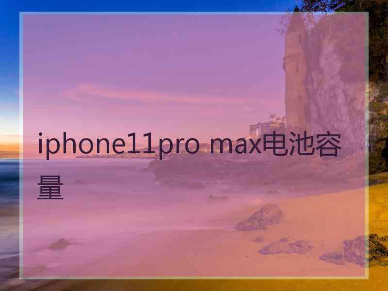 iphone11pro max电池容量