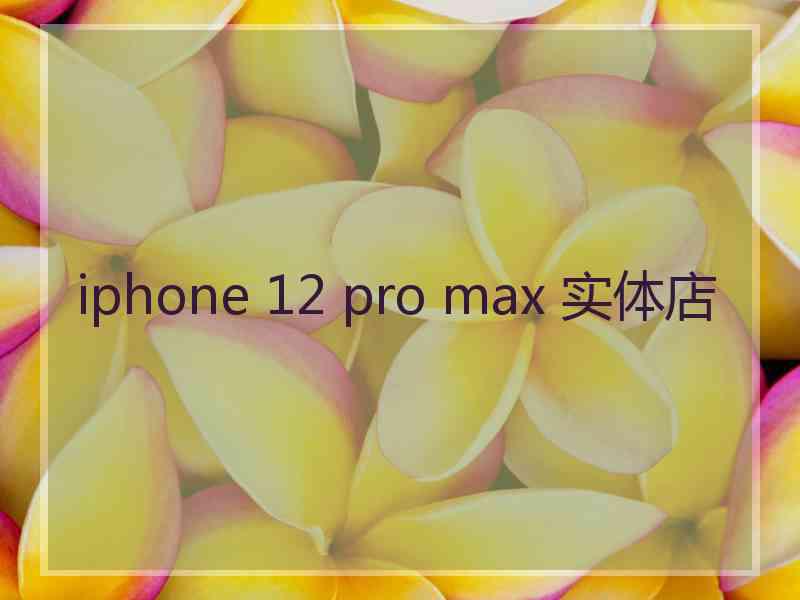 iphone 12 pro max 实体店