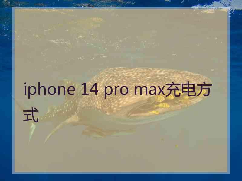 iphone 14 pro max充电方式