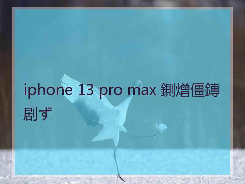 iphone 13 pro max 鍘熷僵鏄剧ず