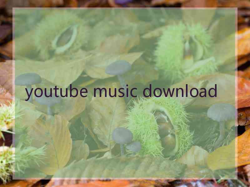 youtube music download