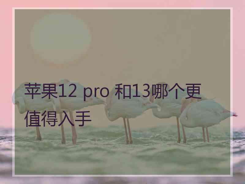 苹果12 pro 和13哪个更值得入手