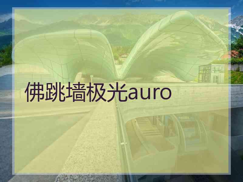 佛跳墙极光auro