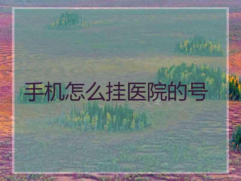 手机怎么挂医院的号