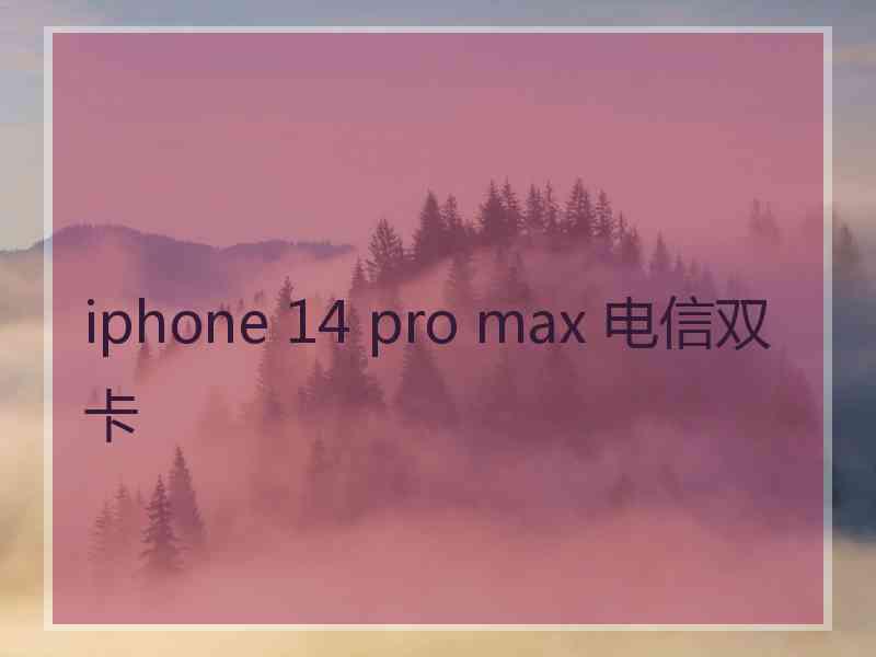 iphone 14 pro max 电信双卡