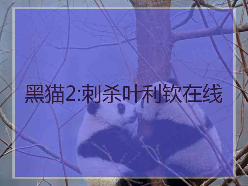 黑猫2:刺杀叶利钦在线