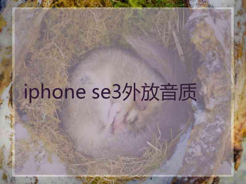 iphone se3外放音质