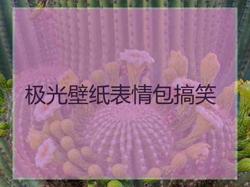 极光壁纸表情包搞笑