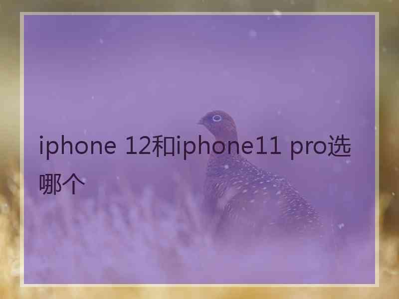 iphone 12和iphone11 pro选哪个