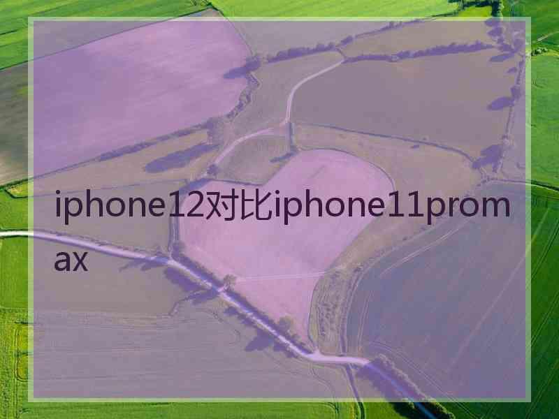 iphone12对比iphone11promax