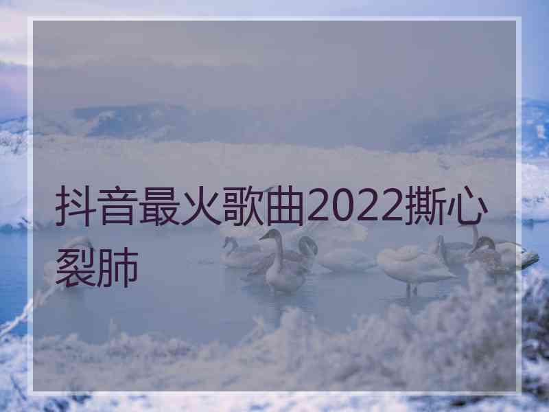 抖音最火歌曲2022撕心裂肺