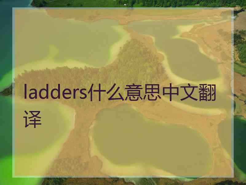 ladders什么意思中文翻译