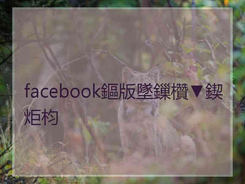 facebook鏂版墜鏁欑▼鍥炬枃