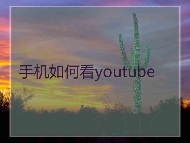 手机如何看youtube