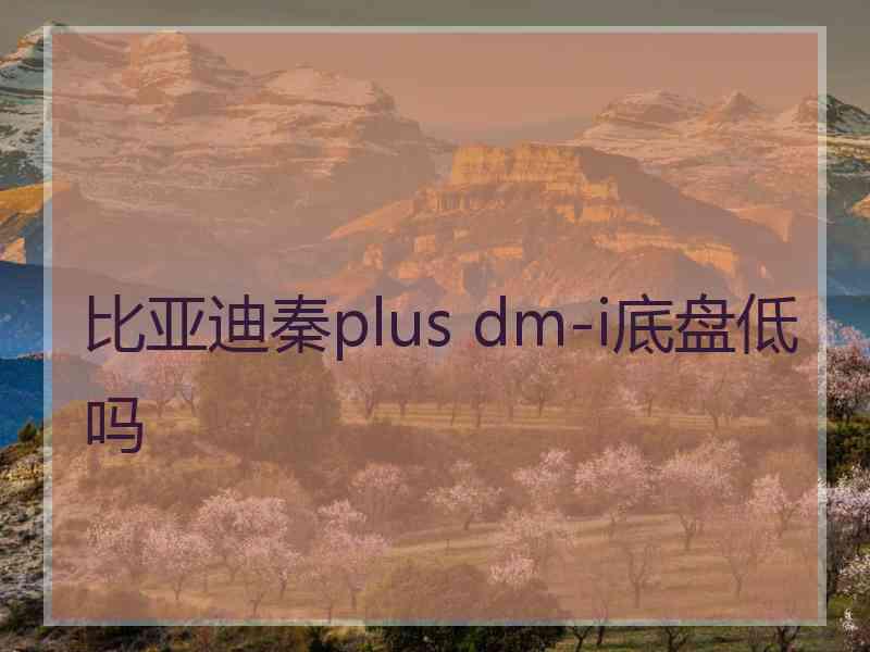 比亚迪秦plus dm-i底盘低吗