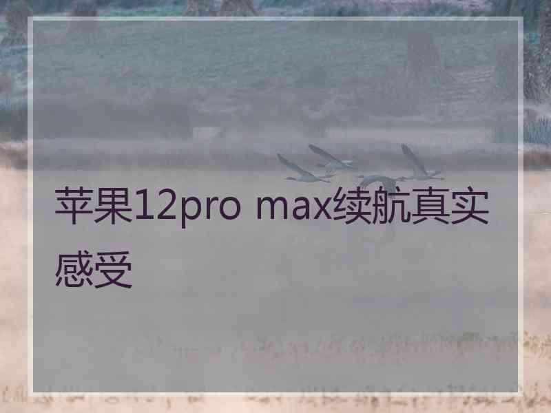 苹果12pro max续航真实感受