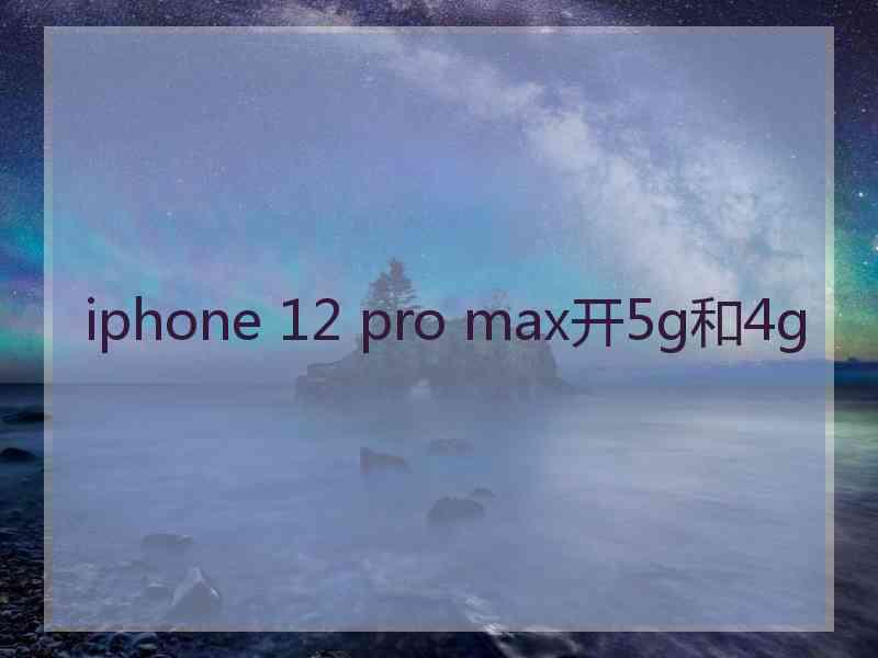 iphone 12 pro max开5g和4g