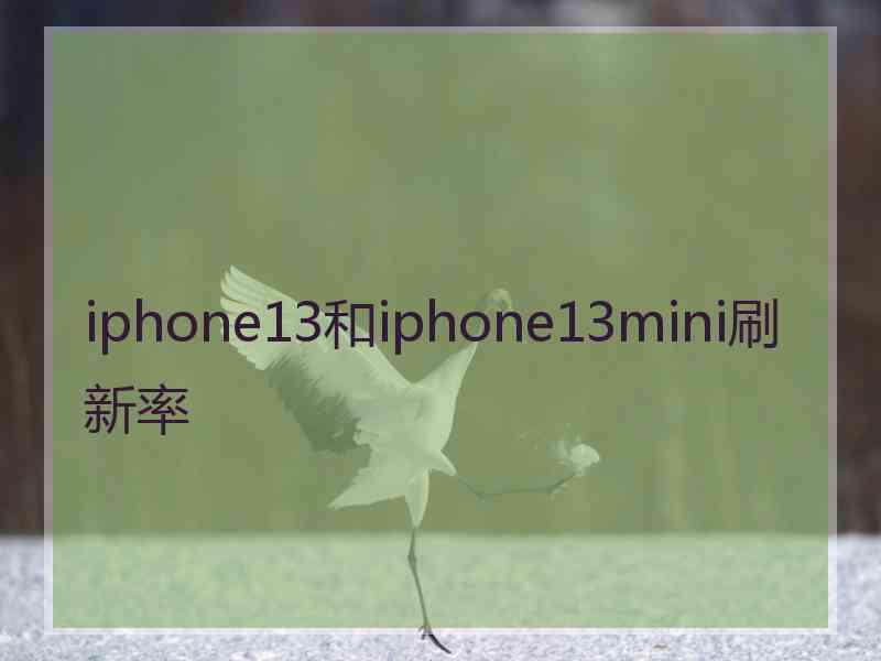 iphone13和iphone13mini刷新率