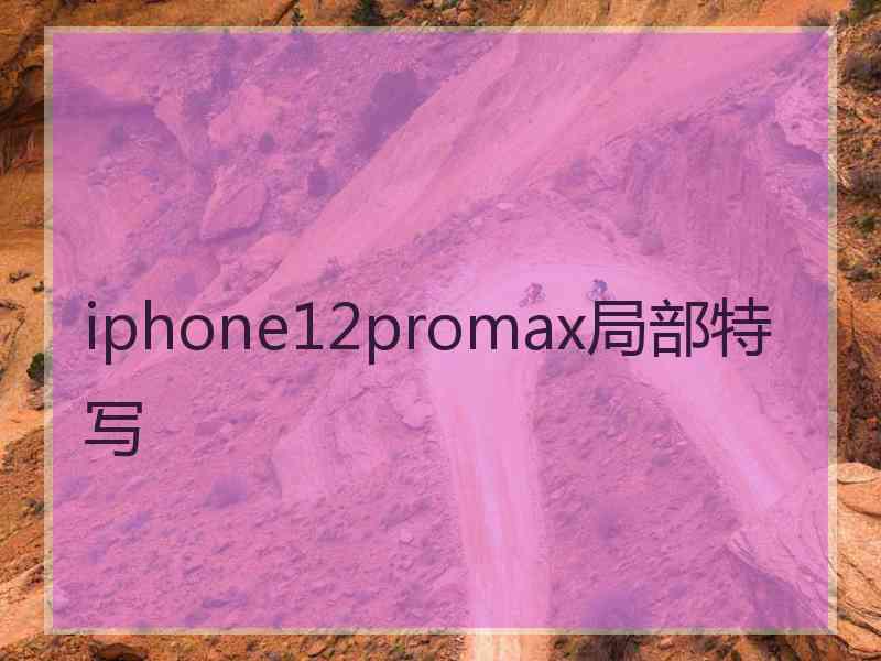 iphone12promax局部特写