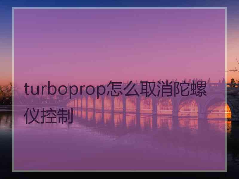 turboprop怎么取消陀螺仪控制