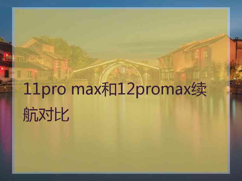 11pro max和12promax续航对比