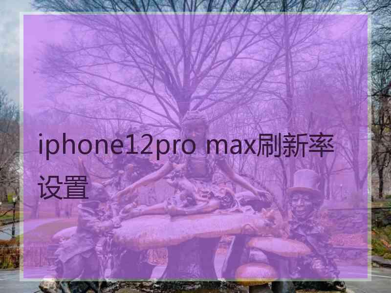 iphone12pro max刷新率设置