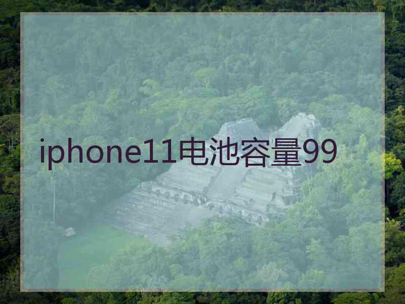 iphone11电池容量99