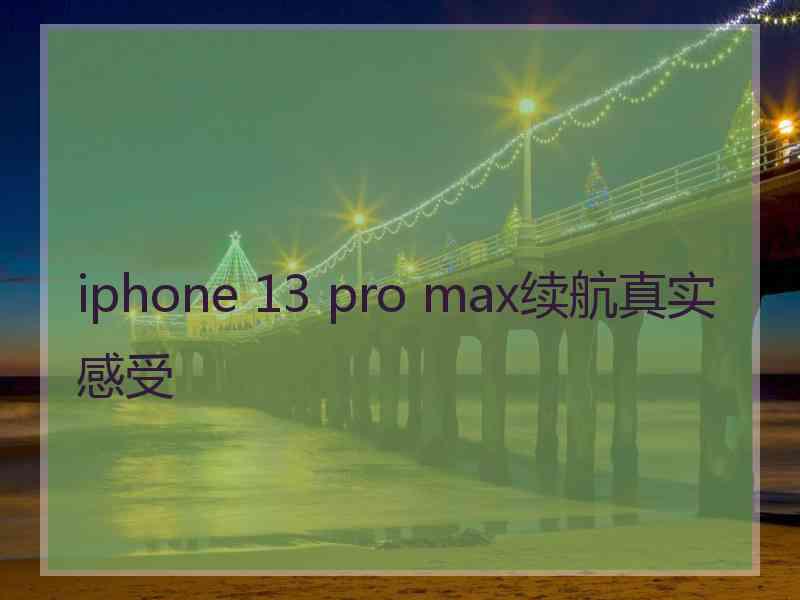 iphone 13 pro max续航真实感受