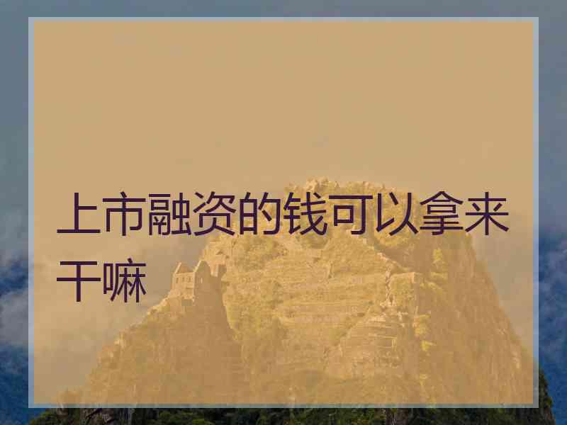 上市融资的钱可以拿来干嘛