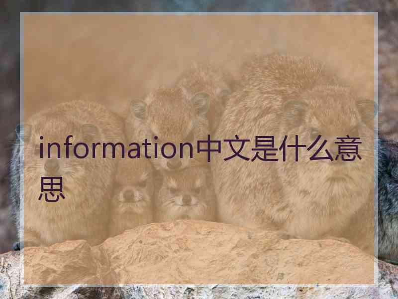 information中文是什么意思