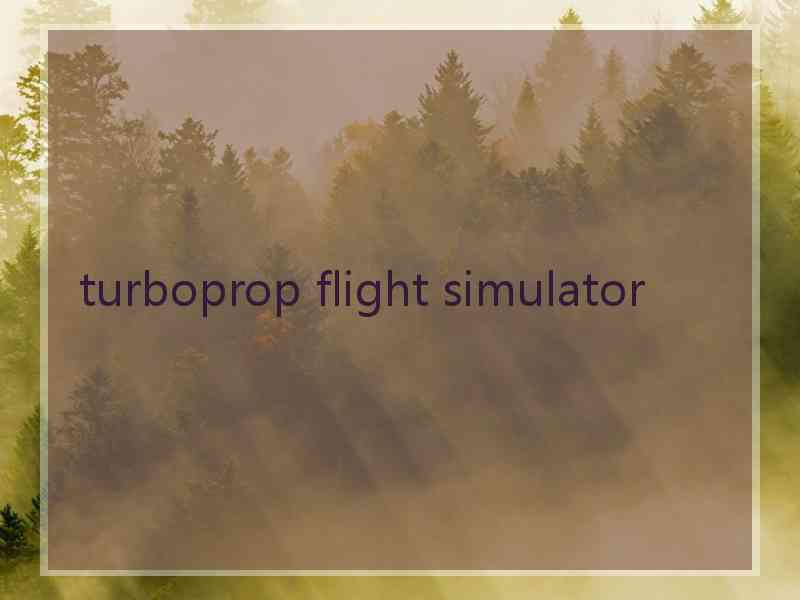 turboprop flight simulator