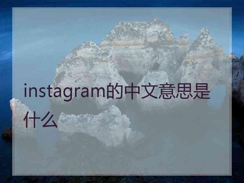 instagram的中文意思是什么