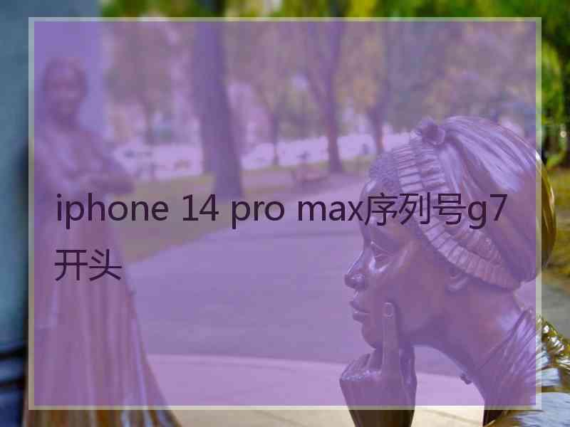 iphone 14 pro max序列号g7开头