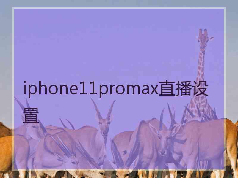 iphone11promax直播设置